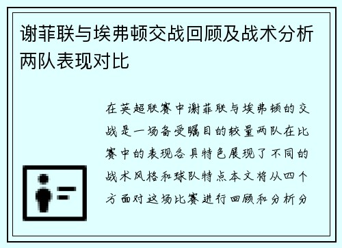 谢菲联与埃弗顿交战回顾及战术分析两队表现对比