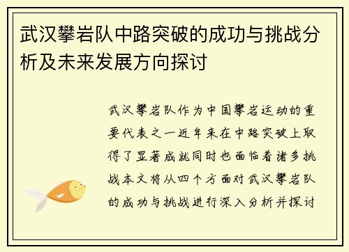 武汉攀岩队中路突破的成功与挑战分析及未来发展方向探讨